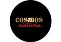 Cosmos Alaturka Restaurant adana